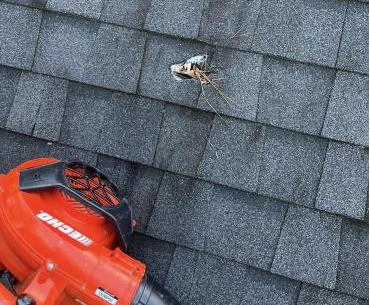 roofing-repair-1-sm
